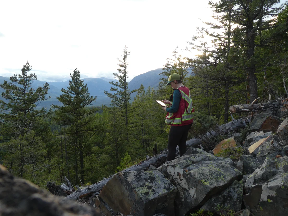 Geologic field
