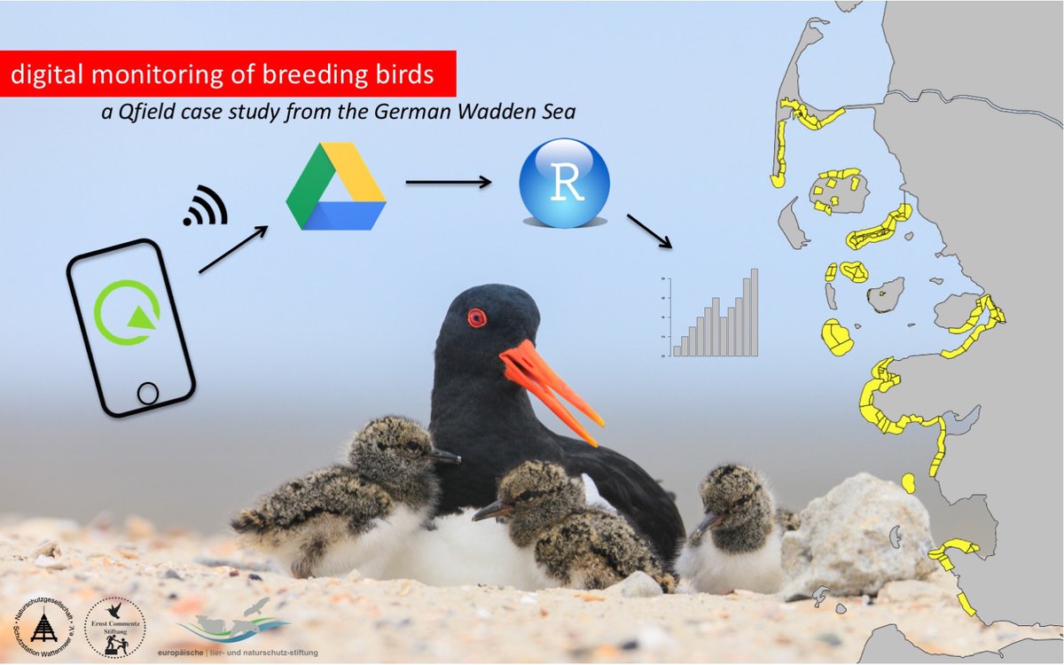 Schutzstation Wattenmeer project sketch