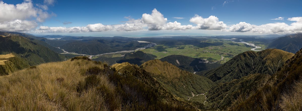 mt price